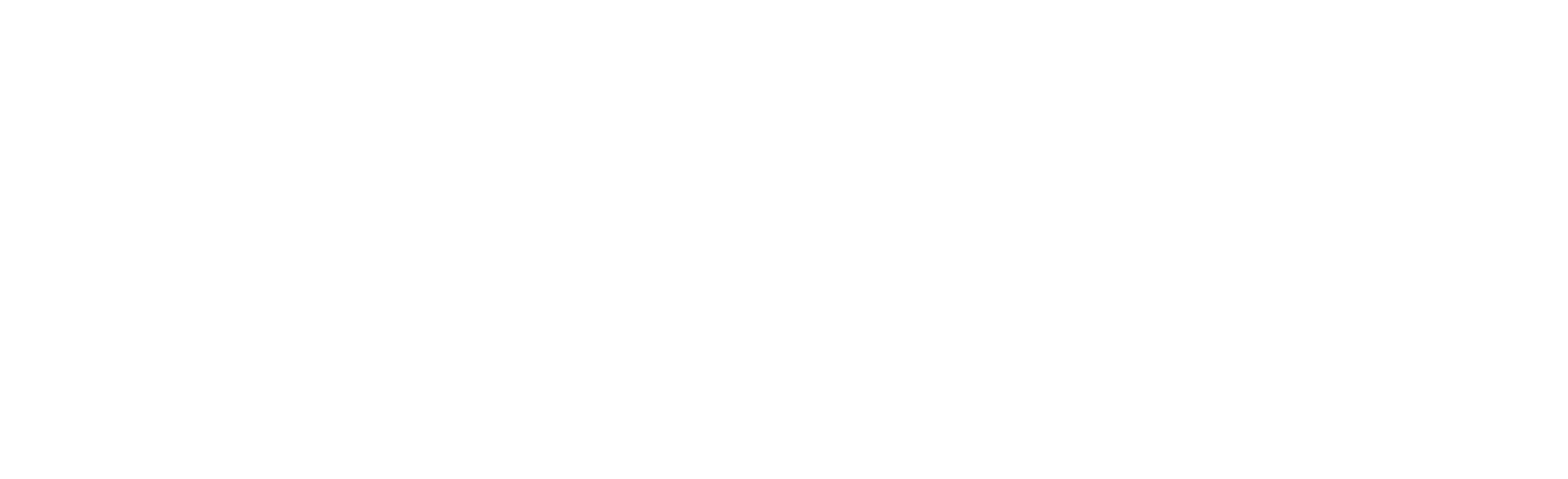 InflightVR